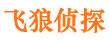 灞桥市侦探公司